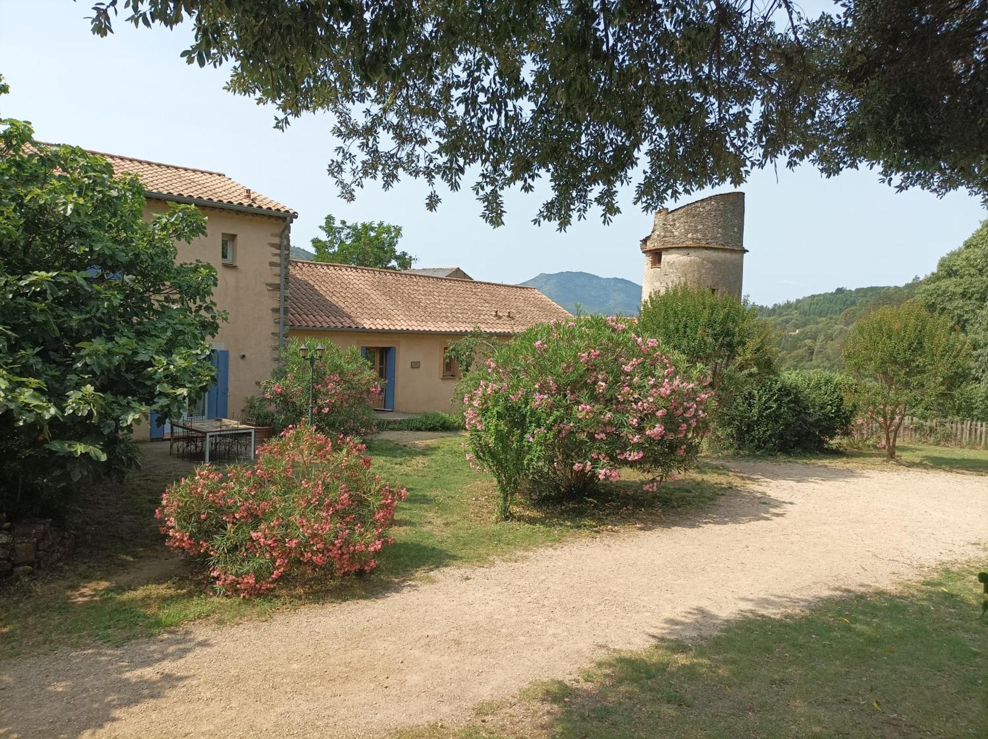 Chateau De Colombieres Sur Orb Eksteriør bilde