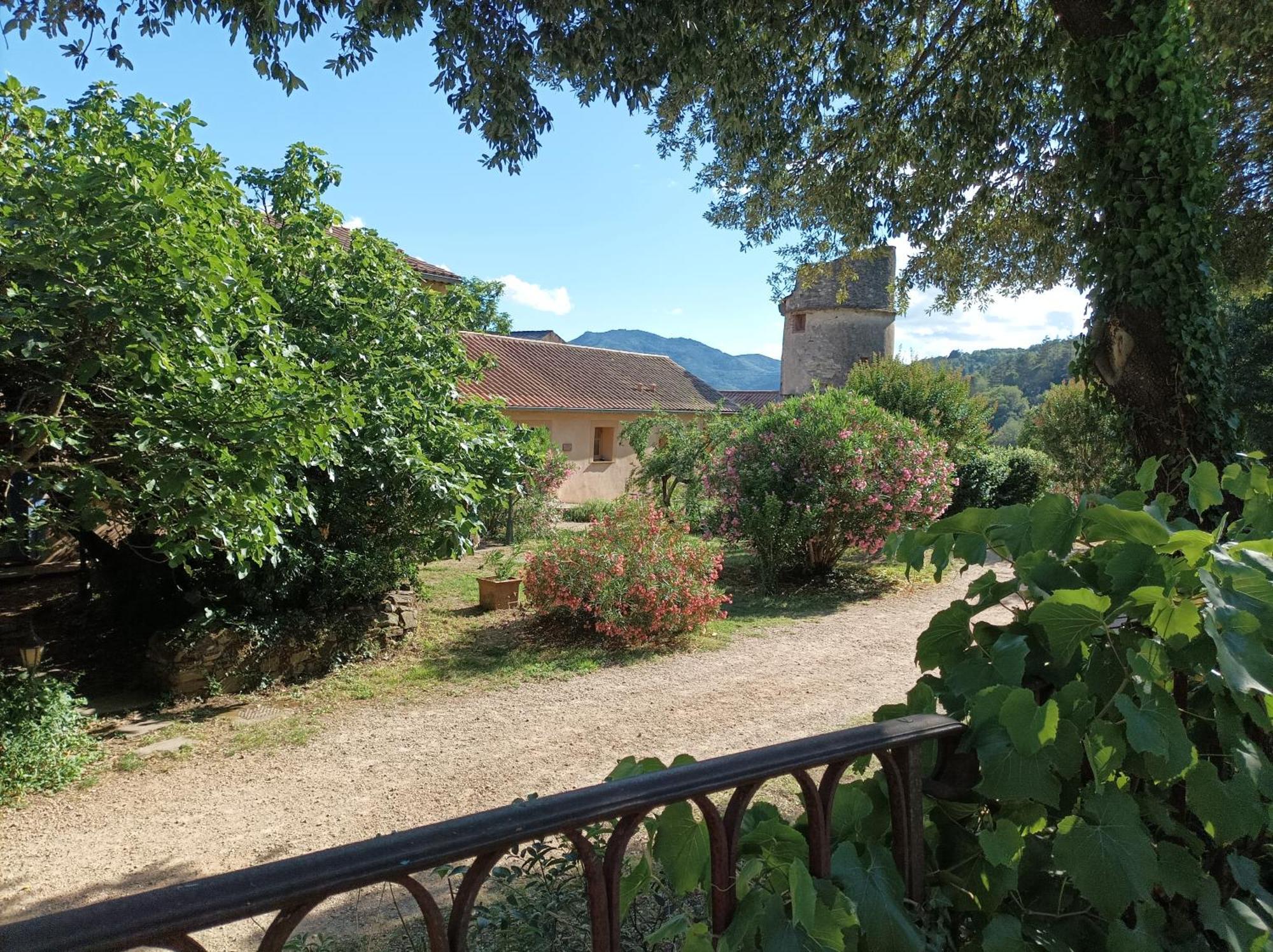 Chateau De Colombieres Sur Orb Eksteriør bilde
