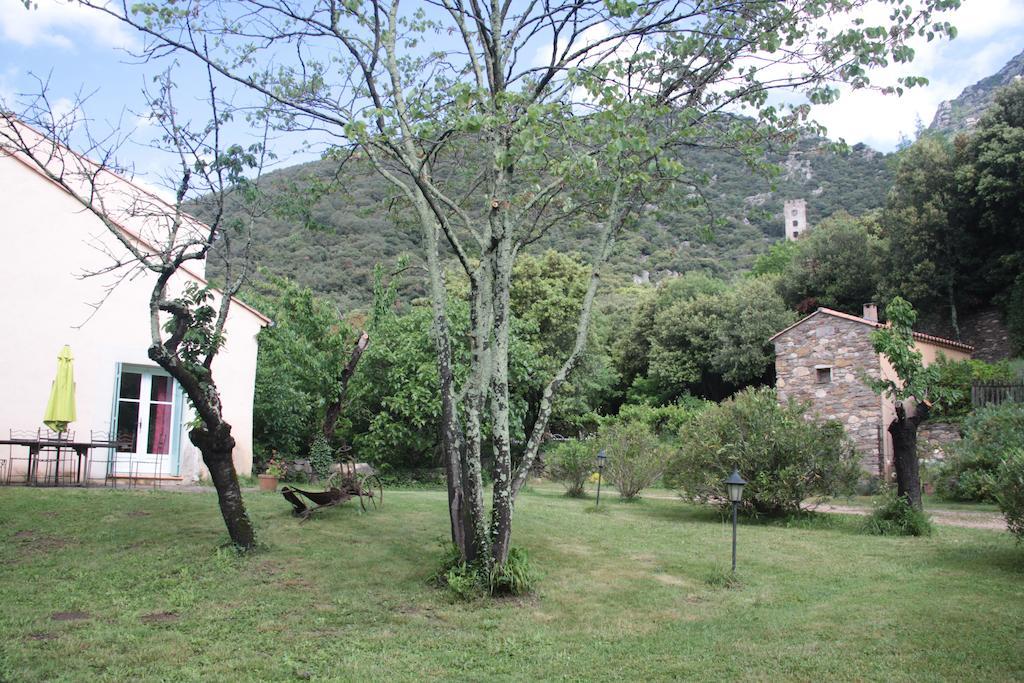 Chateau De Colombieres Sur Orb Eksteriør bilde
